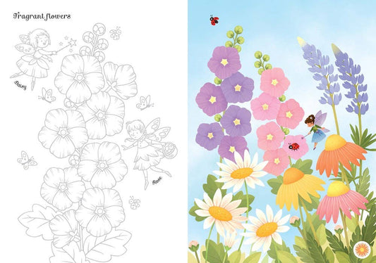 Transfer Activity Book Fairies : Usborne