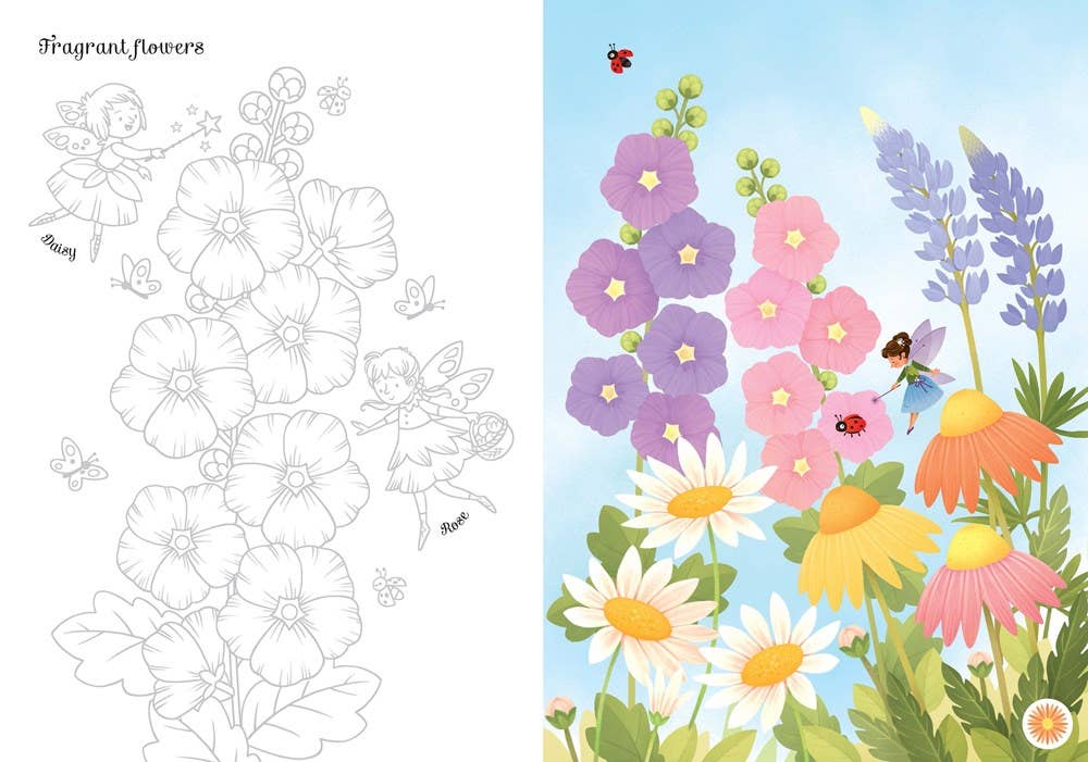 Transfer Activity Book Fairies : Usborne